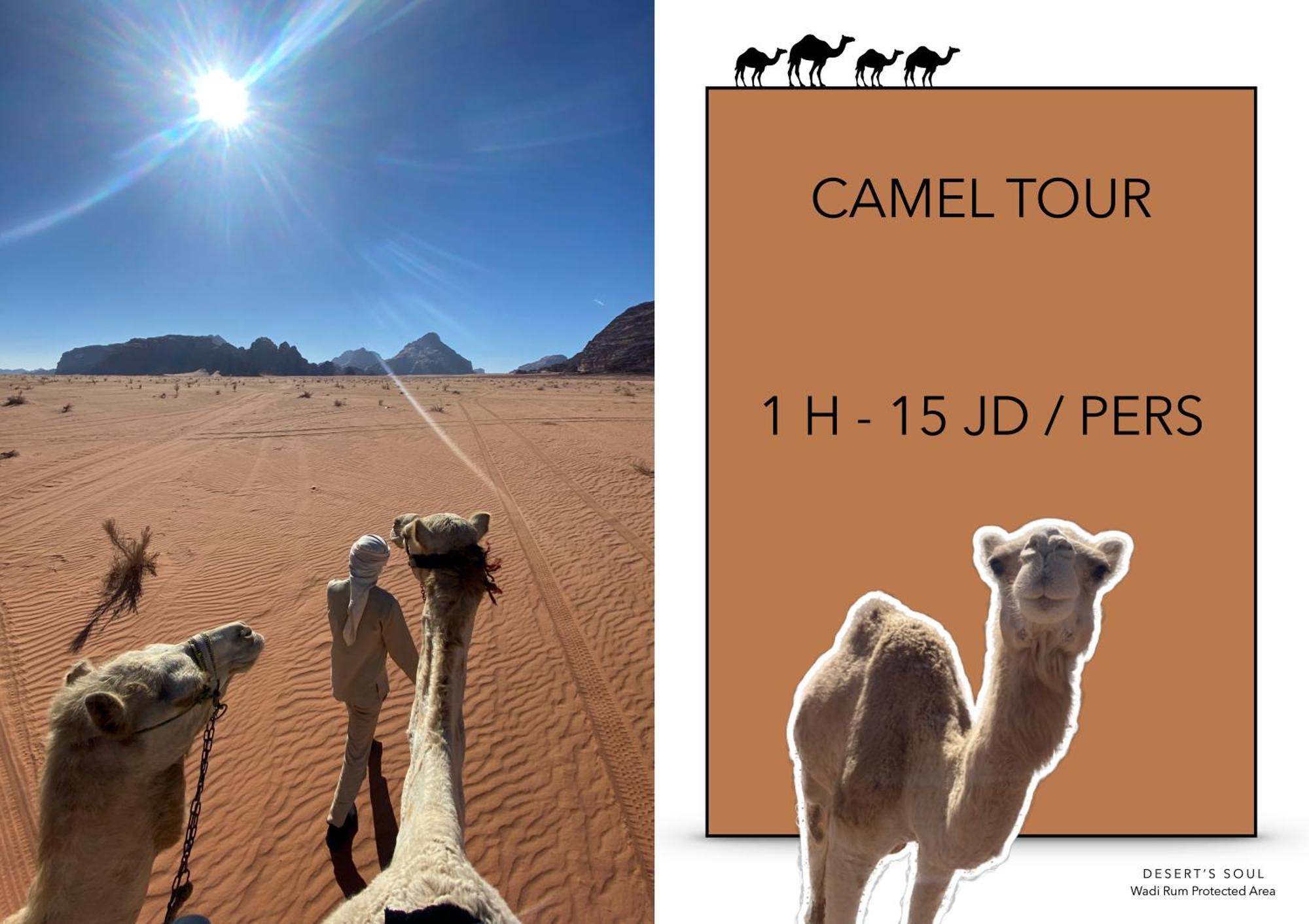 Desert'S Soul Wadi Rum Ad Disah Eksteriør billede